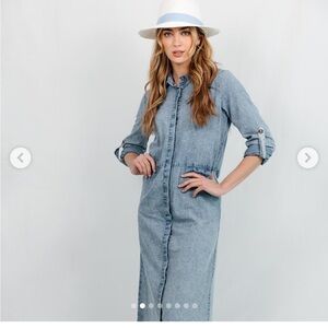 Byrd Denim maxi dress